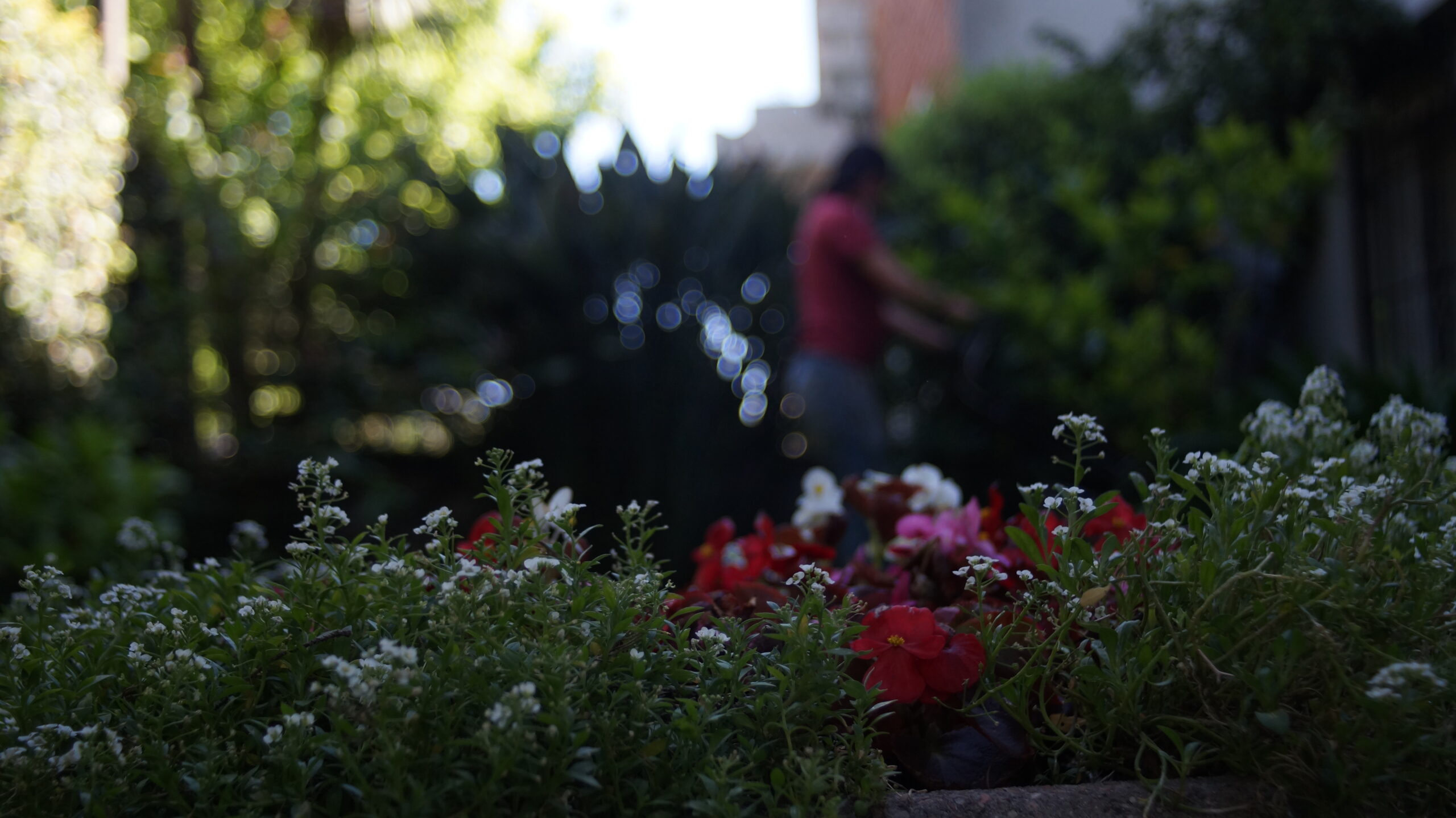 Diseño de jardines